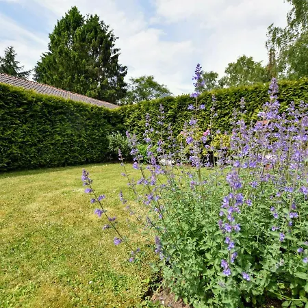 Spacious In With Garden *