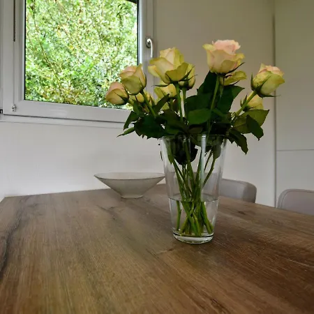 Spacious In With Garden Chalet Wolfheze