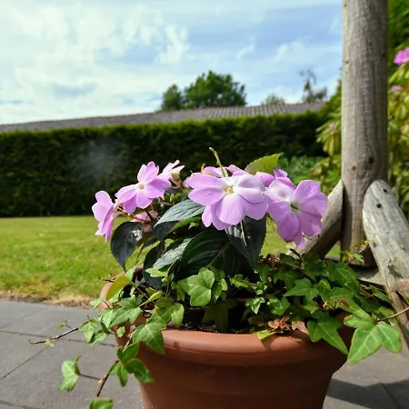 Spacious In With Garden *