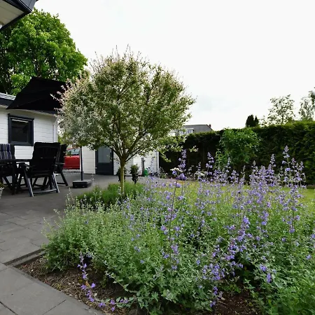 Spacious In With Garden Chalet Wolfheze