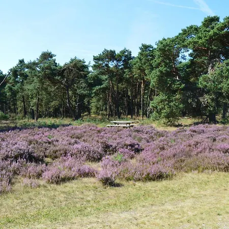 Spacious In With Garden